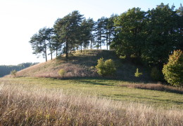 Hillfort in Stare Juchy