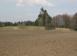Hillfort in Trzcianka